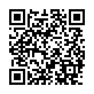 Version Mobile